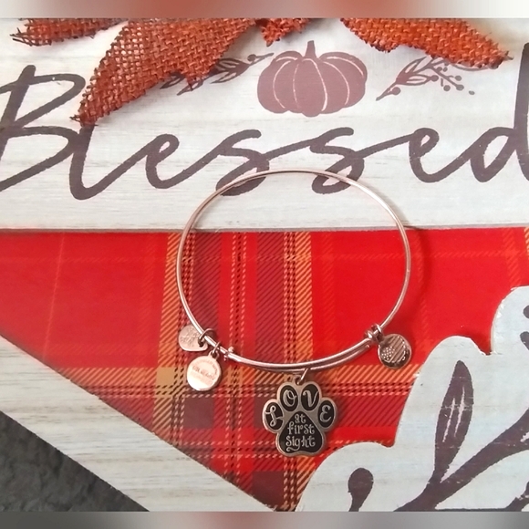 Alex and Ani Love at First Sight Pet Lover Bangle Charm Bracelet - Picture 8 of 8